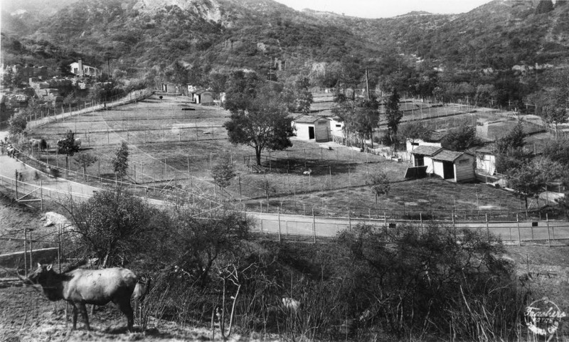 Tree, Highland, Rural area, Land lot