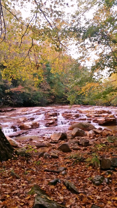 Muddy Creek at the site of the Old Virginia Iron Furnace.