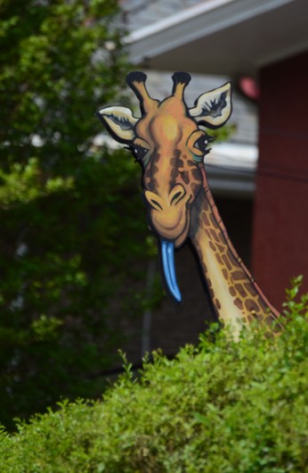 Vegetation, Terrestrial animal, Jaw, Giraffidae