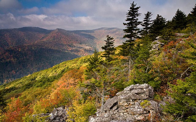 Photo Credit: The Nature Conservancy