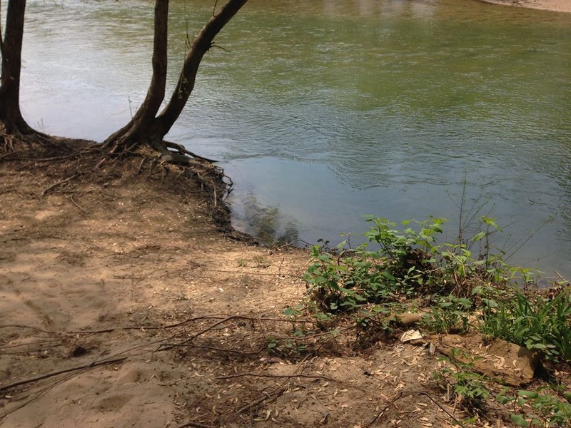 Meadowood Park trail on the river.