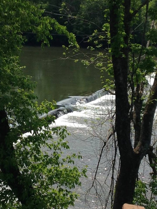 Meadowood Park trail on the river.