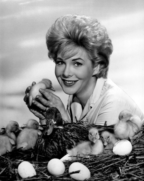 Photo from the television program General Electric True. Jan Shepard plays a Milwaukee newspaper reporter who is assigned to write a story about a mother mallard who has built her nest on a river piling in Milwaukee's downtown.