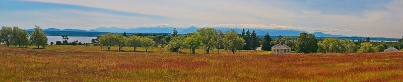 Discovery Park