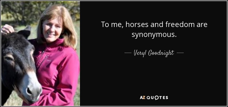 Veryl Goodnight, artist, who gives her opinion on what horses represent. Her opinion led to the creation of this monument.