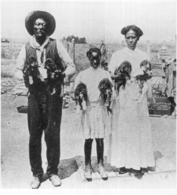 William Johnson, Iva Melton, Laura Bell: Some of the Black Mormon pioneers of the South in Pueblo. 