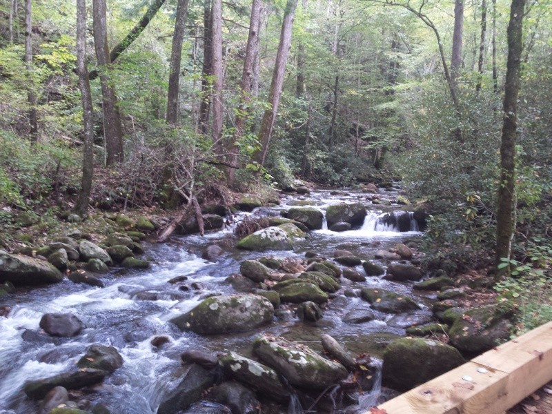 Roaring Fork stream