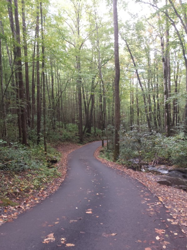 The serene motor trail.