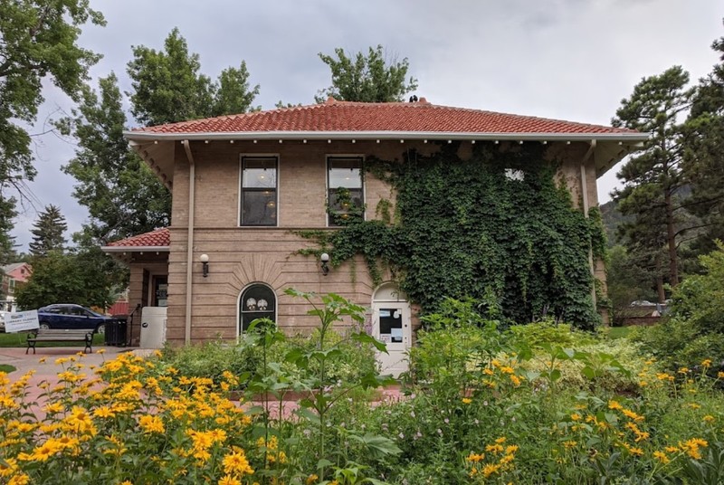 Flower, Plant, Building, Window