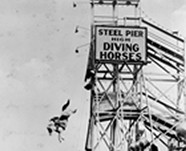 Diving Horse Act, circa 1931