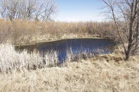 Middle Spring as it looks today