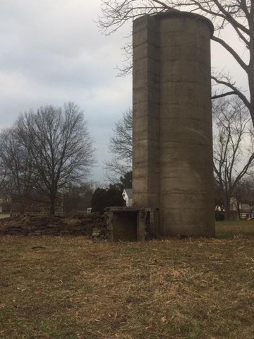 Sky, Plant, Building, Tower