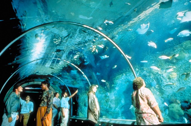 "Underwater tunnel" in aquarium 