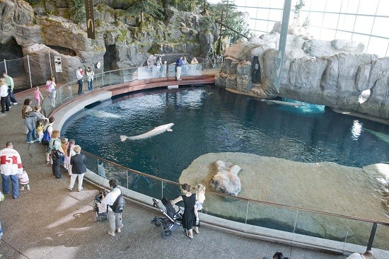 One of the many exhibits within aquarium 