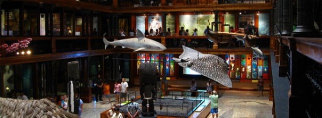 Inside of the Bernice Pauahi Bishop Museum