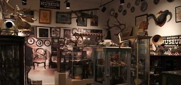 The museum is full from wall to wall with hundred of items of artifacts and miscellanea.