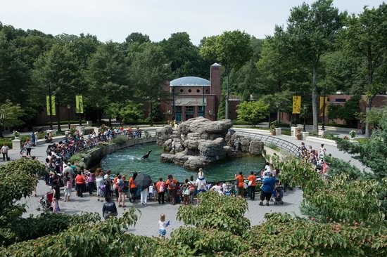The Prospect Park Zoo has had a long history in Brooklyn full of ups and downs. It is currently part of a group of New York City zoos managed by the Wildlife Conservation Society.