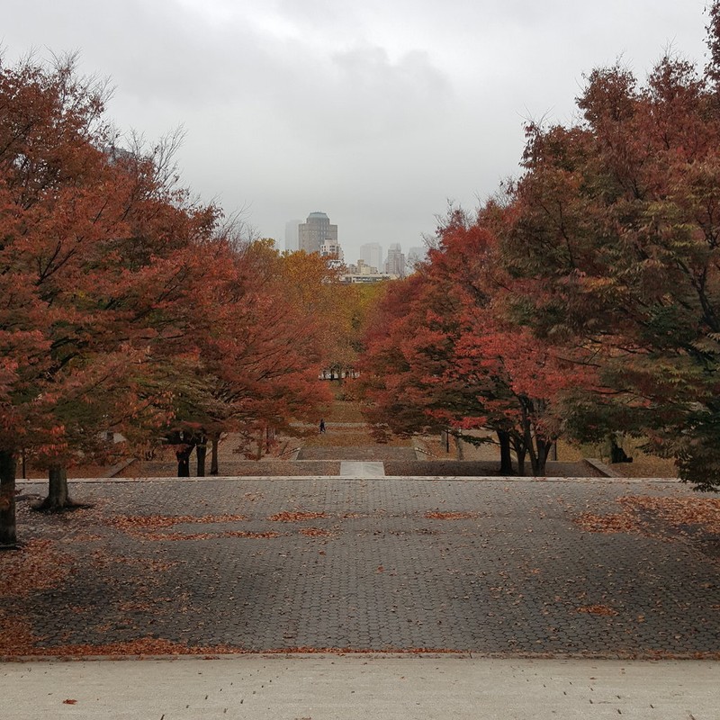 A view of the park from the top of the hill.