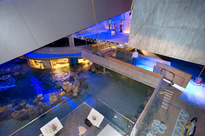 In 2013, the Blacktip Reef exhibit was added to the National Aquarium.