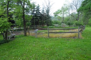 The grounds of the Hale home as it looked before it was reconstructed earlier this year. 