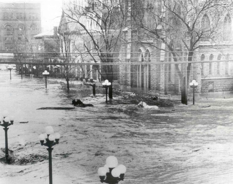 Horses underwater during the flooding