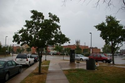 The marker between two trees. Photo by Busta-Peck.