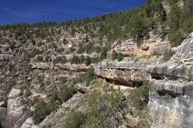 Numerous dwellings alongside the canyon