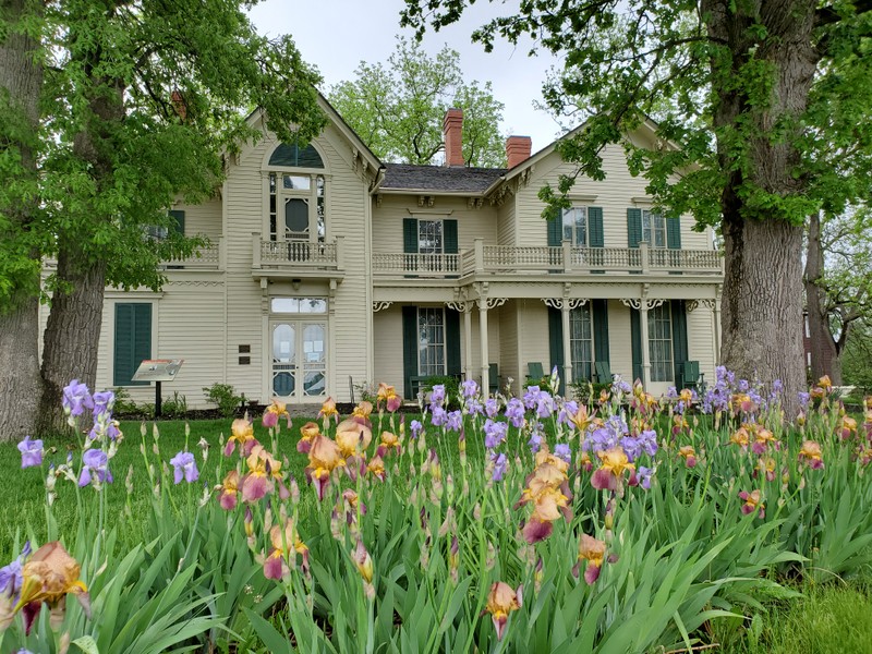 Flower, Plant, Window, Building