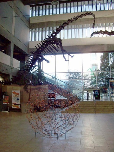 Dinosaur exhibit 