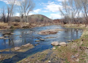San Pedro River, near maker. Here the Battalion encamped before being charged by the wild bulls