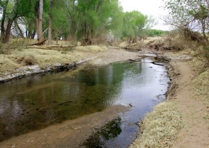 San Pedro River