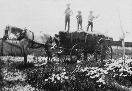 Spencer (middle) and his brother Gordon and Del on top a wagon working on family farm near home. 