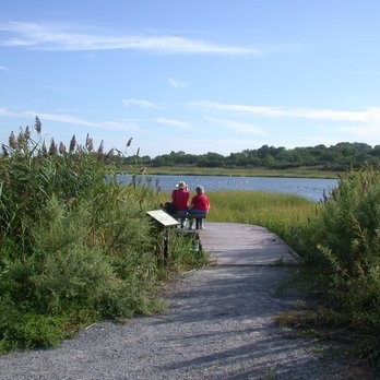 Bird watching is a favorite activity in Marine Park. Tours and information can be found at the Salt Marsh Nature Center.