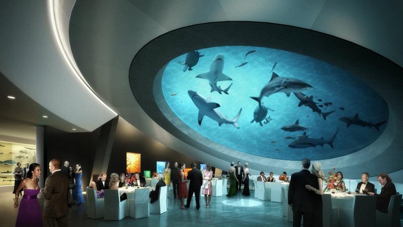 Under the oculus of the aquarium.