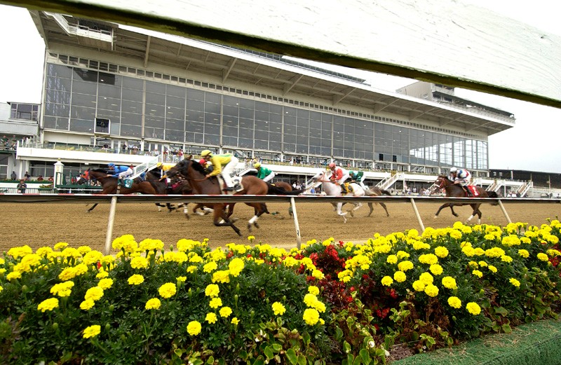 The race course is over 140 years old. It has hosted four triple crown champions.