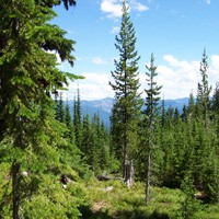 The pass is the highest point on the Lolo Trail (5,233 ft), which had been long used by the Nez Perce people.