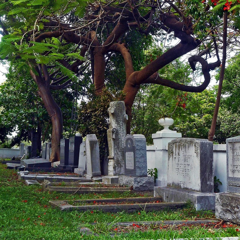 Old City Cemetery - Clio