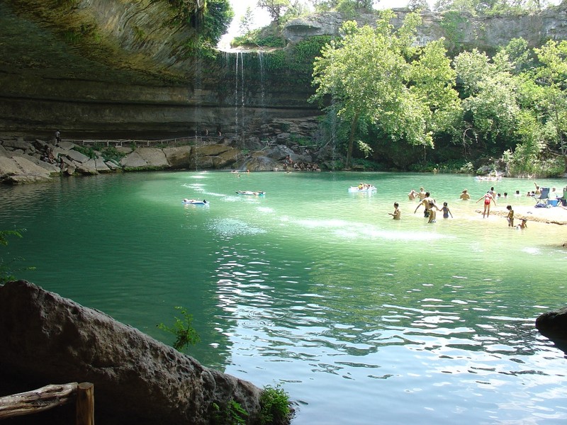 A large crowd of people swimming in the pool.