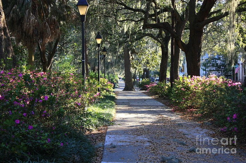 Walkway in the Park.