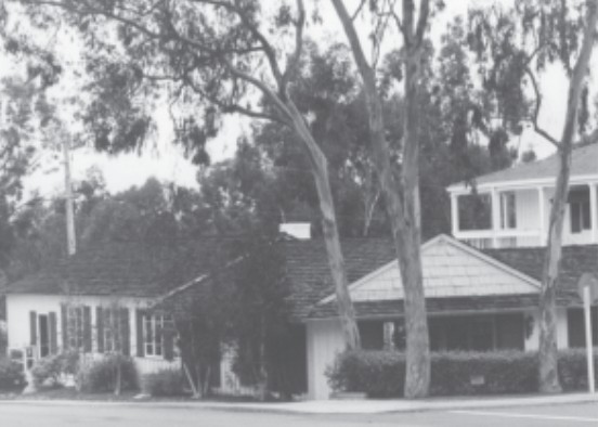 Building, Plant, Tree, House