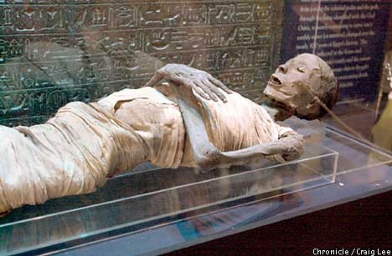 Mummy located within the museum.