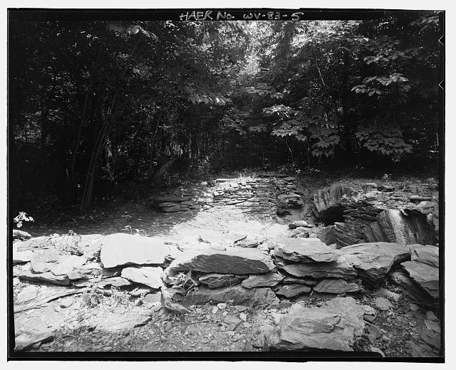 Water, Natural landscape, Plant, Black-and-white