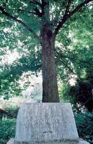 There are two tablets placed around The Tree That Owns Itself, one older and one considerably newer, and they both have the deed inscribed in them.