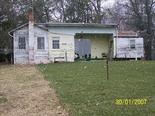 Property, Building, Plant, Window