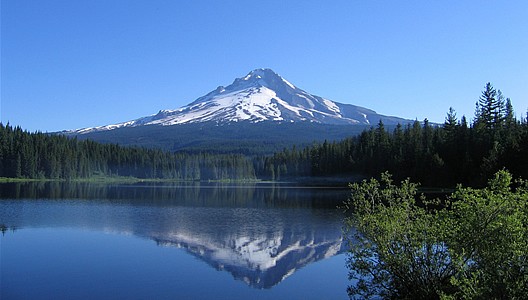 Mt. Hood National Forest