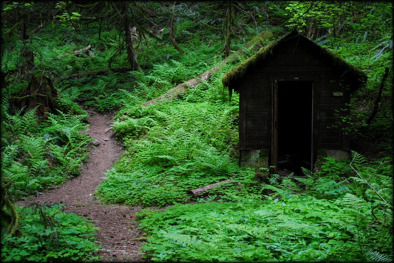 Mt. Hood National Forest