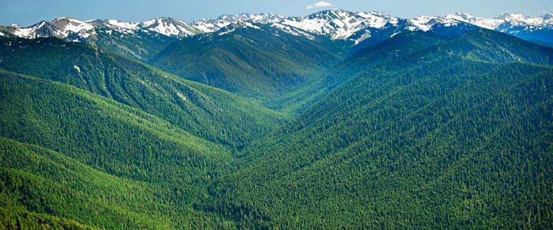 Olympic National Park was established in 1938 after being declared a national monument in 1909. It is known for its rainforests and snow-capped mountains.