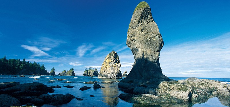 The coastline portion of the park is narrow but stretches between the towns of Ozette and Queets.