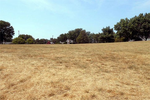 View of Temple Lot not constructed upin