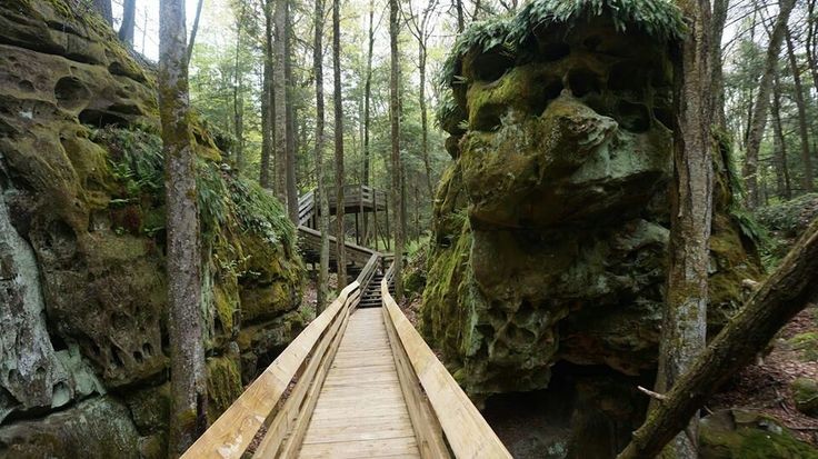 Boardwalk that goes through the park